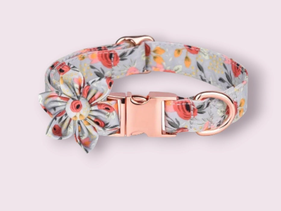 Evans Flower Dog Collars - Grey