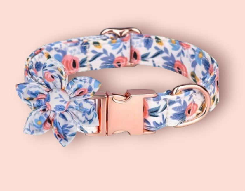 Evans Flower Dog Collars - Blue